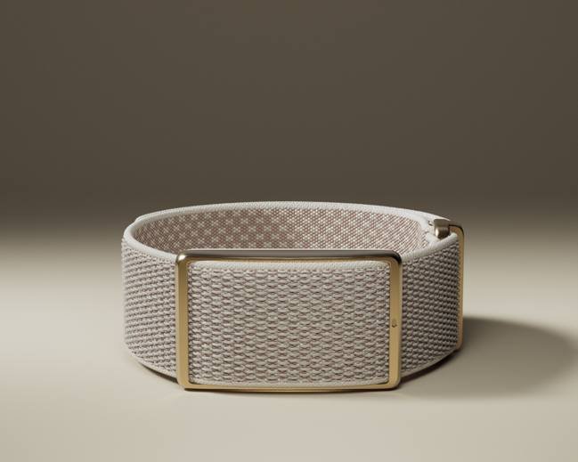 Polar apresenta Polar Loop, sua primeira pulseira inteligente sem tela para monitorar atividades e sono - Imagem do artigo