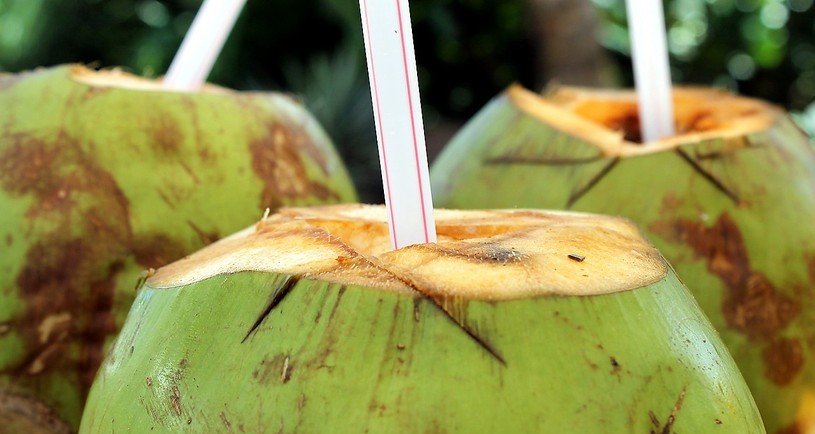 Água de coco ajuda na hidratação após o exercício, mas consumo deve ser moderado - Imagem do artigo