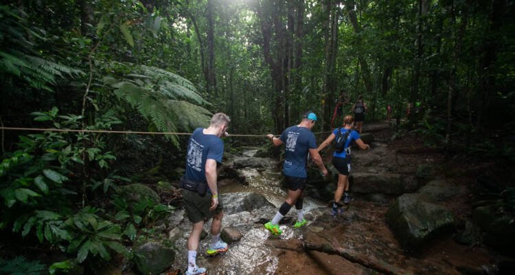Temporada 2026 da WTR começa na Floresta da Tijuca com 1,5 mil corredores em percursos de 6 km, 13 km e 21 km - Imagem do artigo original