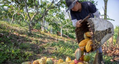 Corrida temática do Bob Esponja movimenta Beira-Mar Continental em 25 de abril - Imagem do artigo original